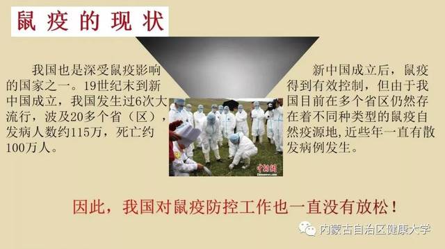鼠疫最新通告，共同了解、积极防范，携手抗击鼠疫