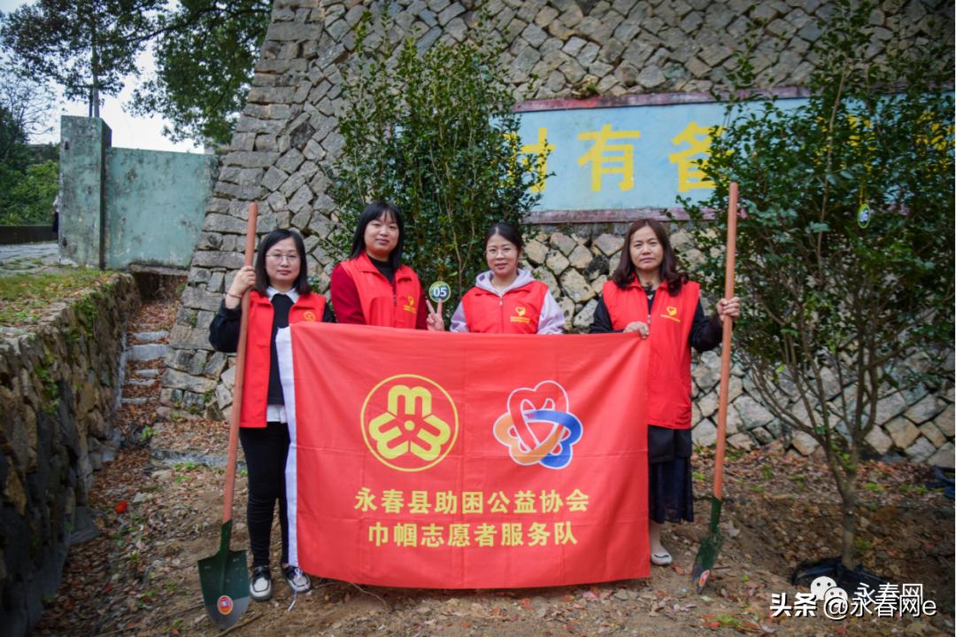 最新永春网使用指南，适合初学者与进阶用户的通用指南