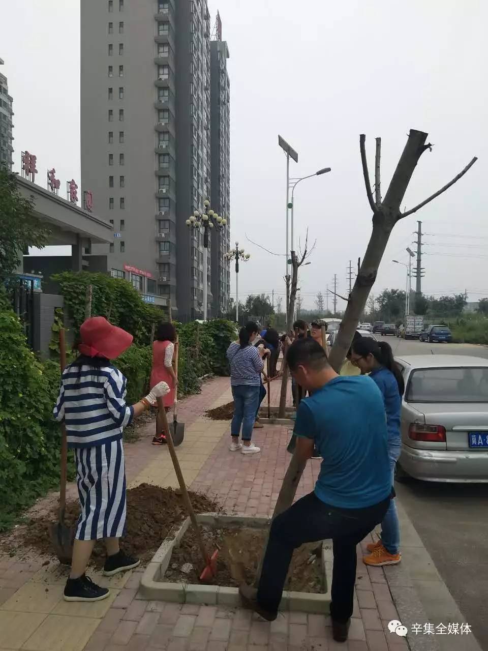 辛集房产最新动态，购房全流程指南
