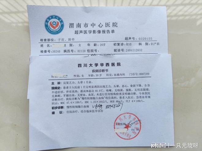 湖北最新病历观点阐述与分析报告