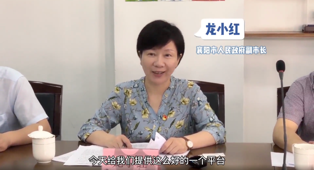 龙小红最新任务或技能学习指南，详细步骤与指南