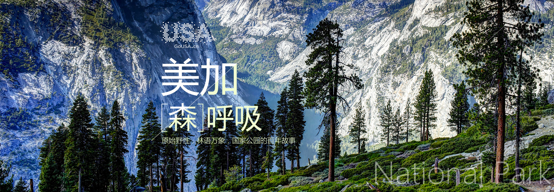 至美最新，时代美学典范的深度解读