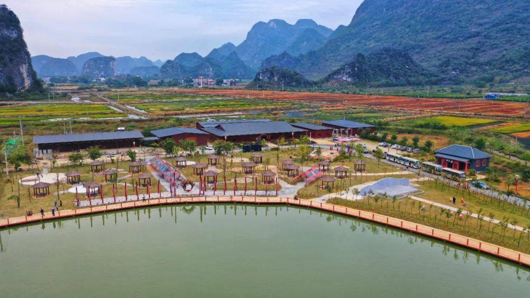 上林最新疫情，背景、进展与影响全面解析