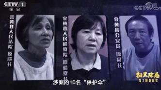 追寻内心平静的旅行探险，揭示涉黑案件的真相与反思