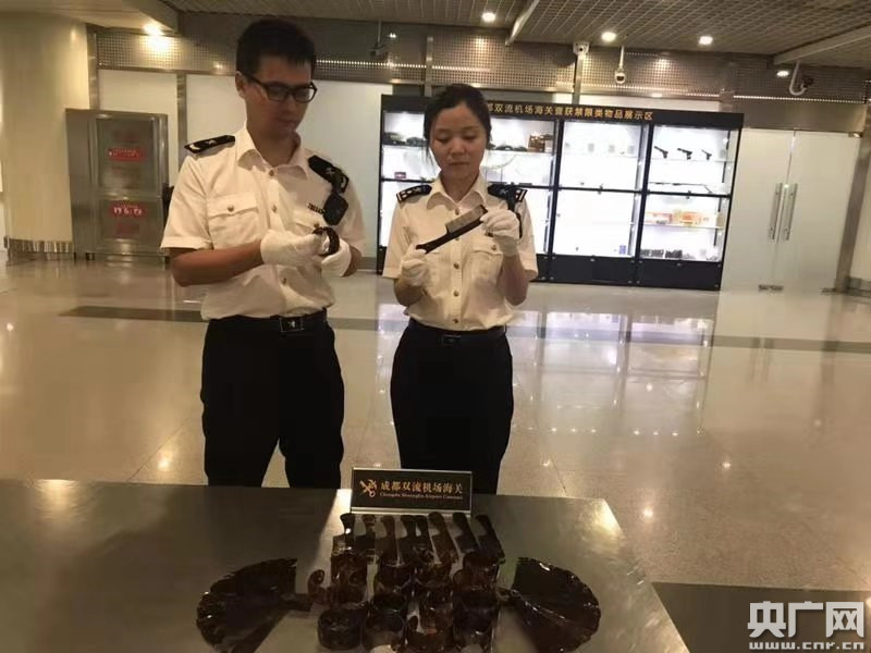 成都海关最新动态更新