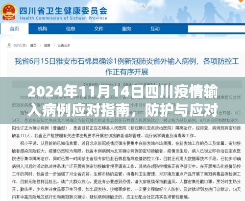 2024年四川最新疫情论述报告