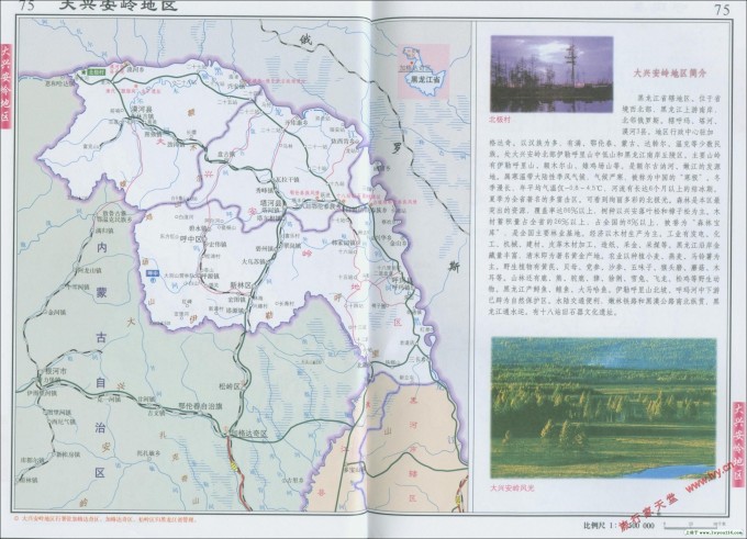 呼中区最新动态，更新消息📣🌲