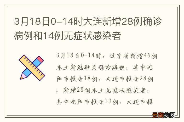 辽宁最新一例病例,辽宁最新一例病例，多维度视角下的观点阐述