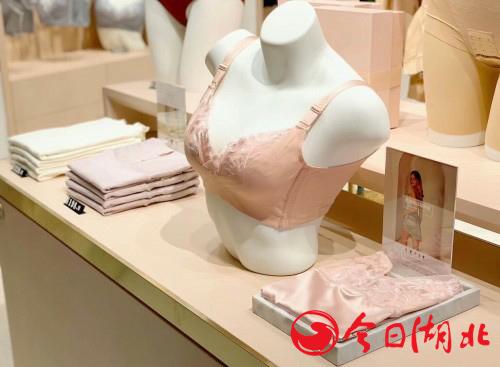 发展历程 第74页