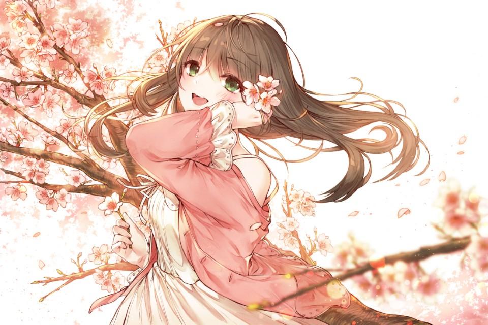 屏幕艺术盛宴，花动漫的绚烂世界