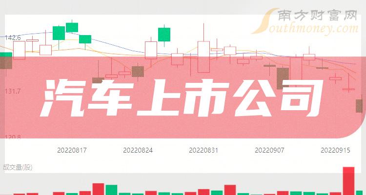 上市车企,上市车企里的隐秘小巷宝藏——一家特色小店的奇妙之旅