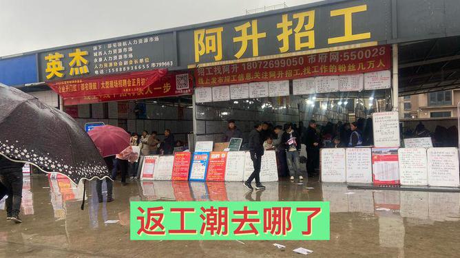 桐乡人才市场招聘信息，科技引领未来，求职触手可及