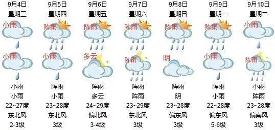 玲玲新动态，探索未来，聚焦当下启示未来之路