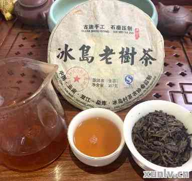 冰岛普洱茶2009年价格回顾与解析