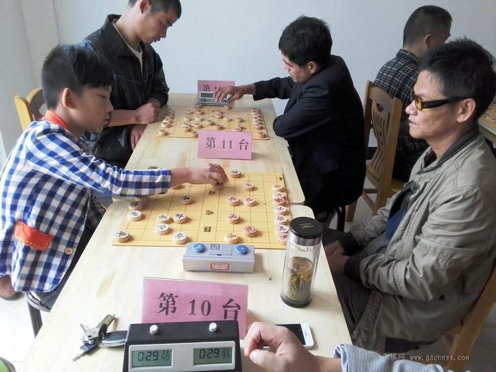 徐州象棋比赛，绿色征途上的心灵静谧之战