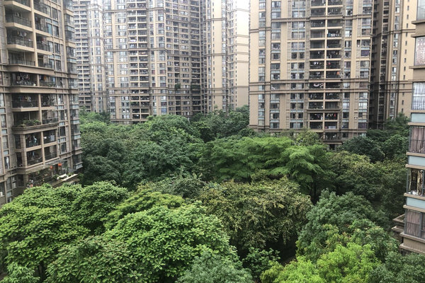 中海金沙湾最新房价及其分析概述