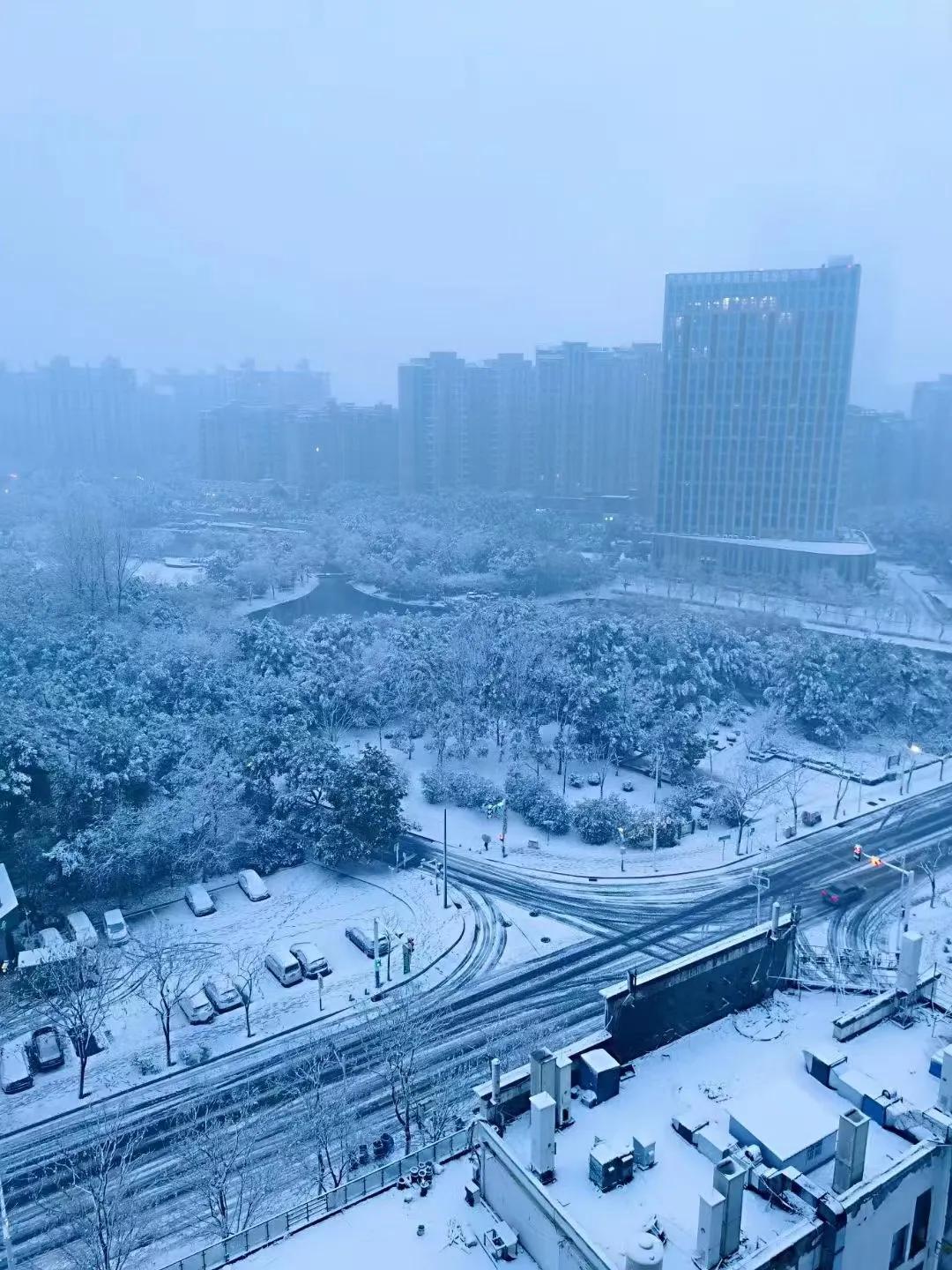 合肥未来15日天气预报查询，气象洞察助力旅行准备