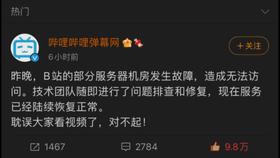 Bilibili电视，探索自然美景，开启内心平和之旅