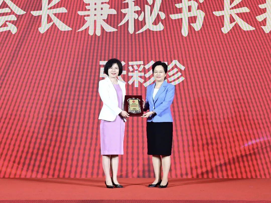 女领导周边新篇章，新时代之光照亮职场之路