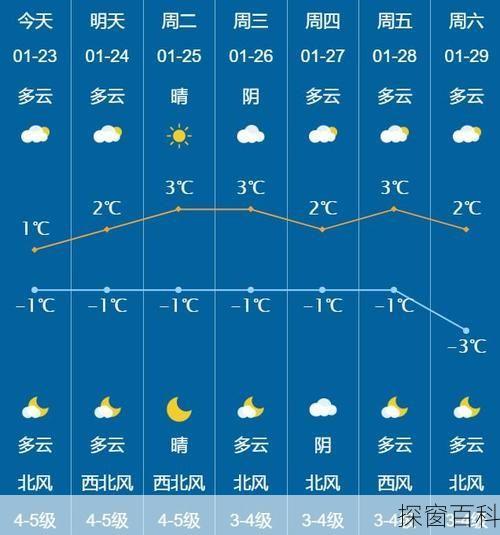 大杨树下的天气预报与宁静之旅体验