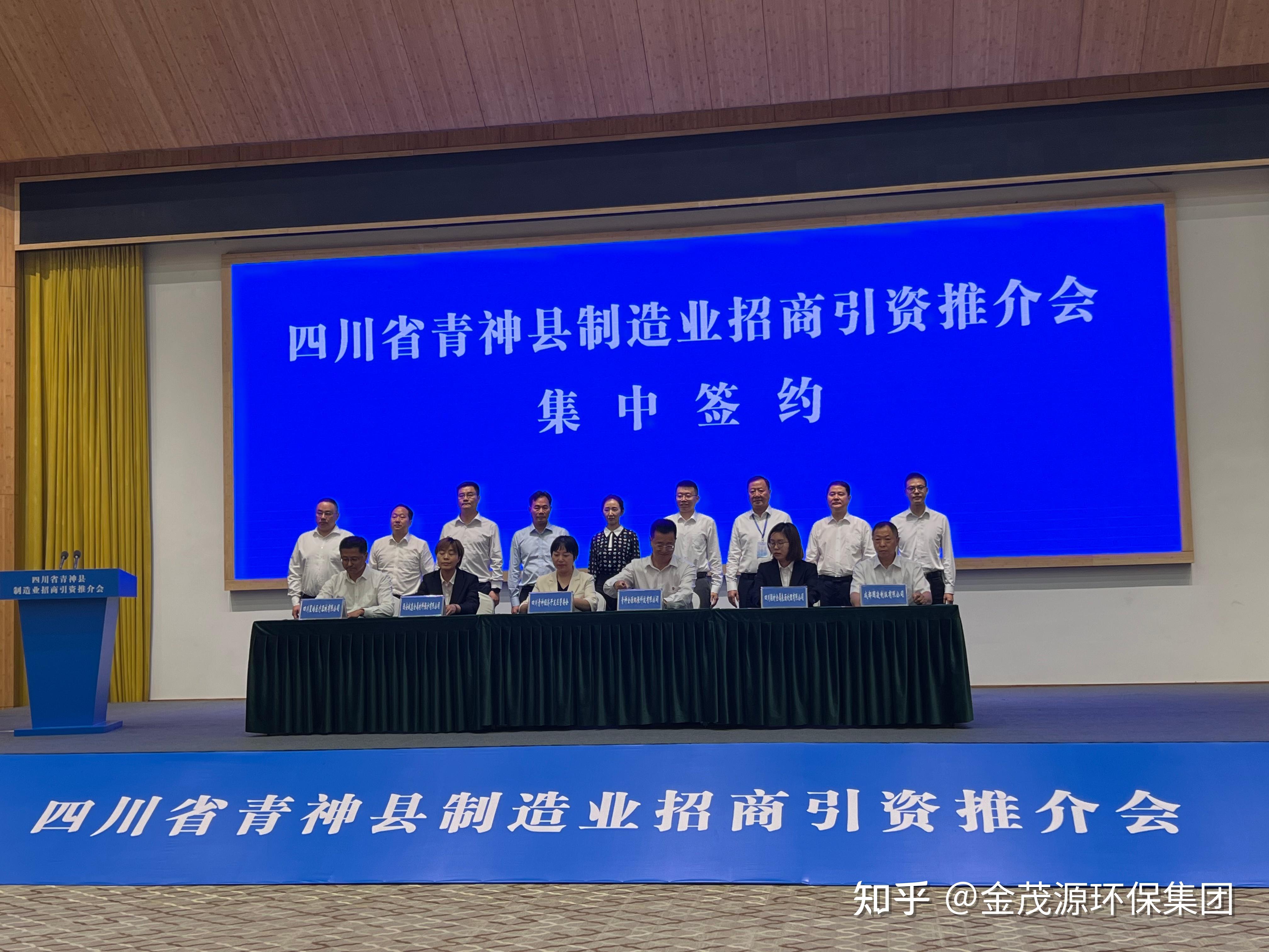 青神黑龙乘风破浪，共筑辉煌未来，最新发展策略展望