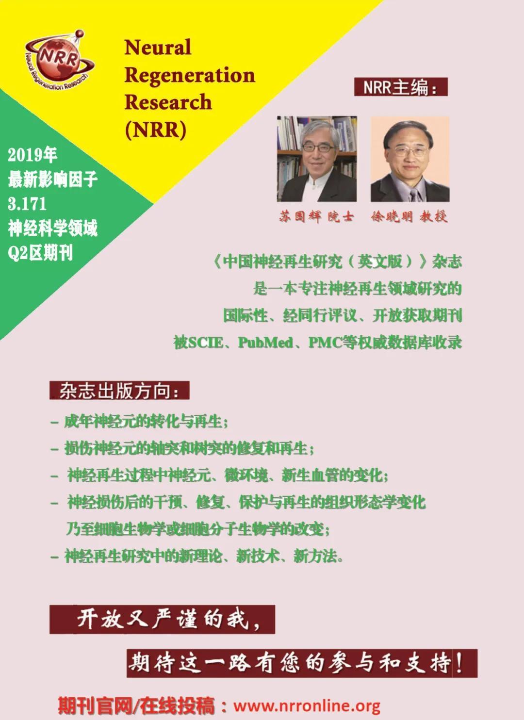 发展历程 第2页