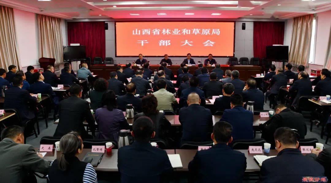 山西省最新干部任免及其背后的故事